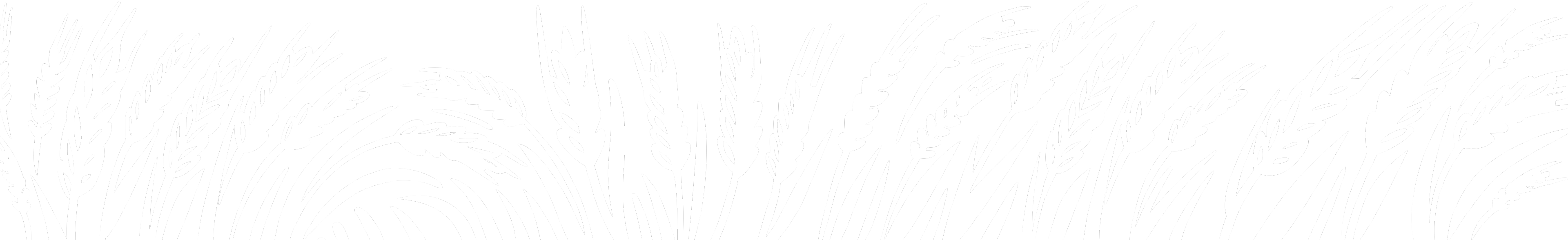 Özhanlar bakliyat vizyon misyon